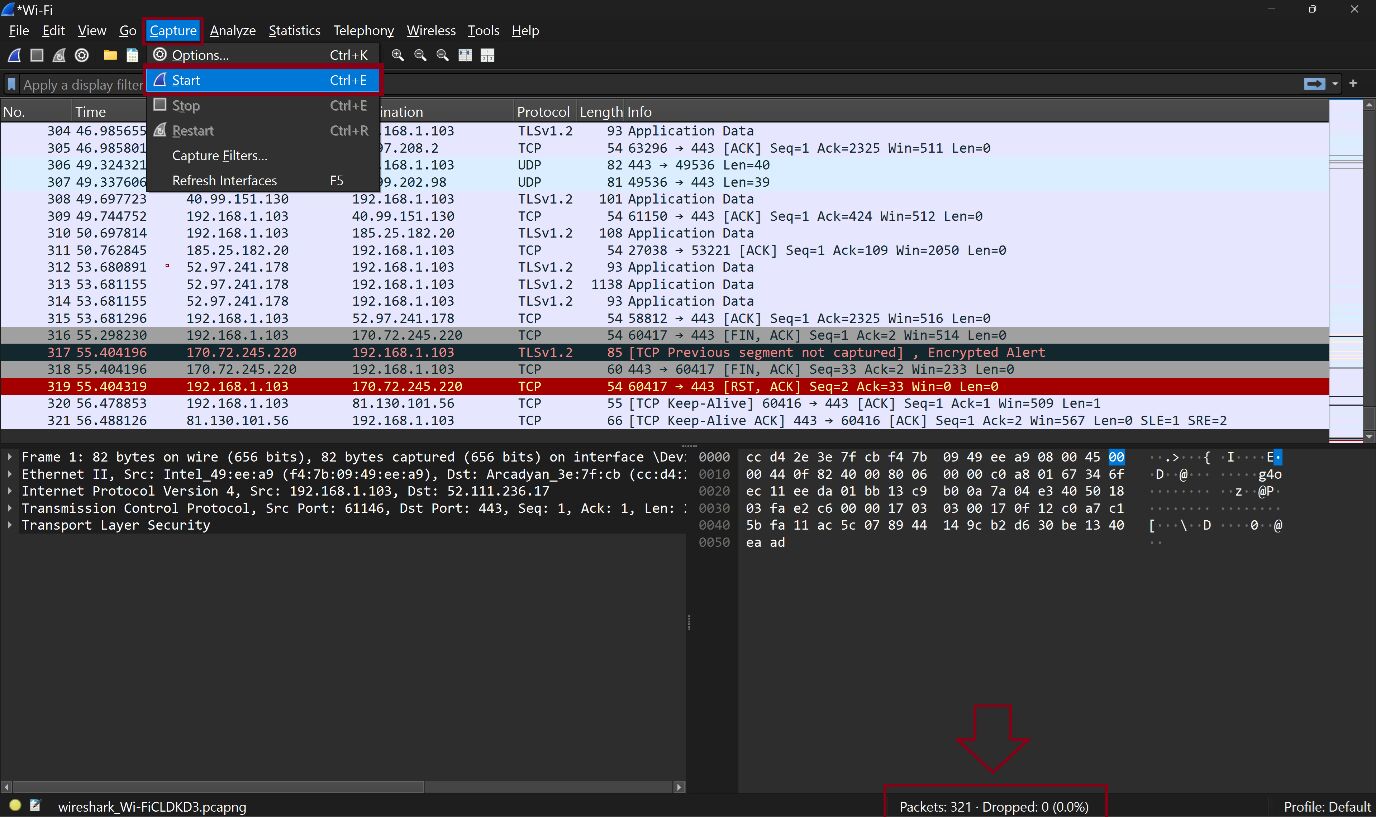 ChatGPT Network Analysis with Wireshark - Tesrex.com - Step 02