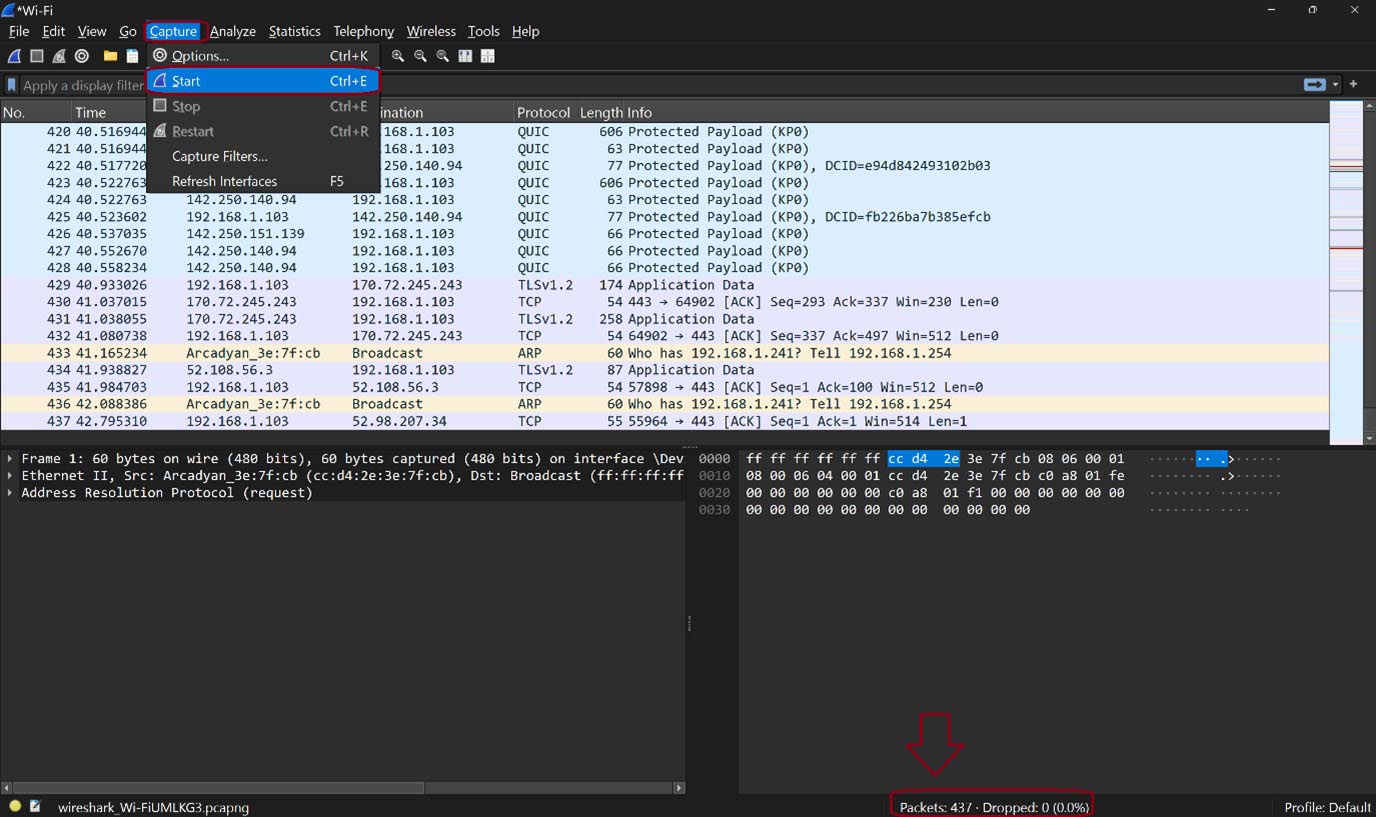 Wireshark Network Analysis Gemini 002