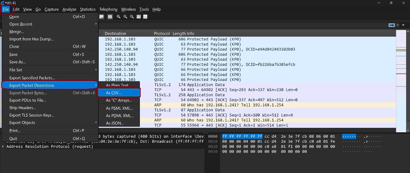 Wireshark Network Analysis Gemini 003