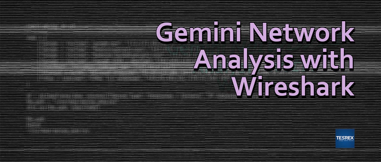 Gemini Network Analysis with Wireshark - Tesrex.com - main title image
